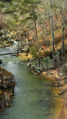 gadsden hero (1)