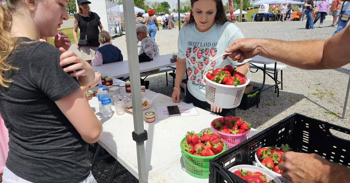 Photo gallery: 2025 Gadsden Strawberry Festival - The Anniston Star
